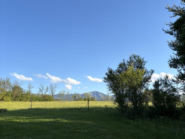 image00016