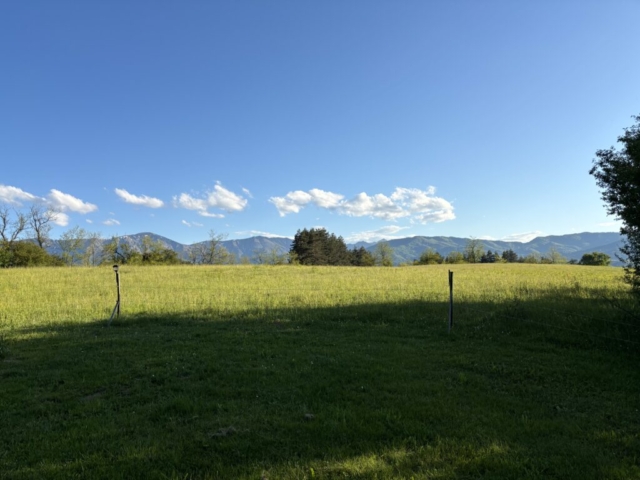 image00018