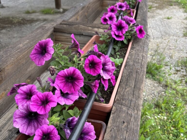 image00022