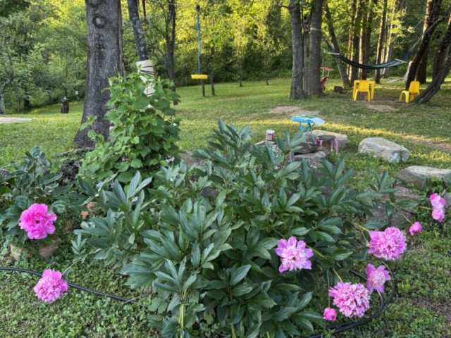 image00025