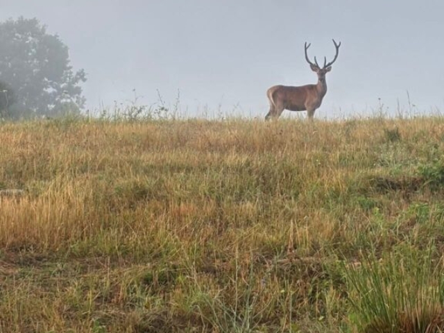 image00035