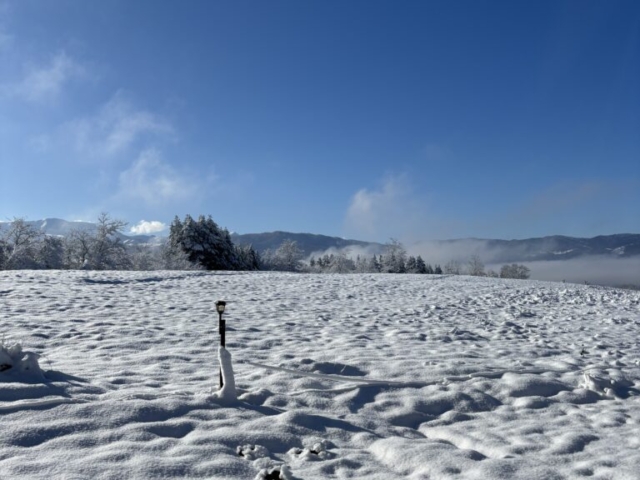image00042